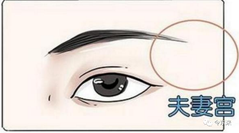 【多宫合参】既看夫妻宫,又看太阳、太阴,是否搞复杂了?