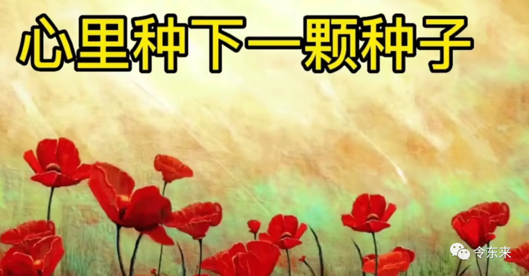 心里种下一颗种子:隐晦,但力量很强!